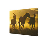 USA, Oregon, Seneca, Ponderosa Ranch. Gallery Wrapped Canvas