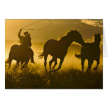 USA, Oregon, Seneca, Ponderosa Ranch. Cards