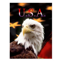 USA postcards