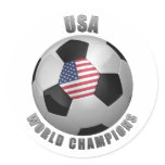 USA SOCCER CHAMPIONS STICKER