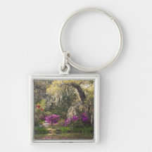 USA, South Carolina, Charleston. Cypress Trees 2 Key Chains