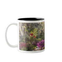 USA, South Carolina, Charleston. Cypress Trees 2 Coffee Mug