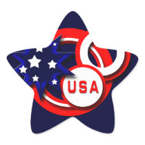 USA STAR STICKER