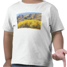 USA, Utah, Wasatch-Cache National Forest, Tee Shirts