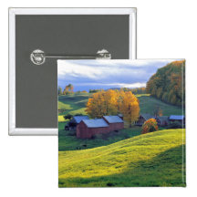 USA, Vermont, Jenne Farm. Rolling green hills Button