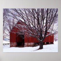 USA, Virginia, Fairfax County, Barn and Maple Posters