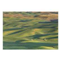 USA, WA, Whitman Co., Palouse Farm Fields From Photographic Print
