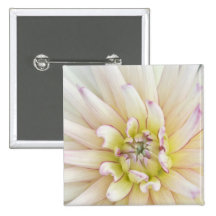 USA, Washington, Bellevue, Bellevue Botanical 2 Pins