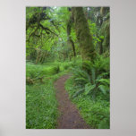 USA, Washington, Olympic National Park, Posters