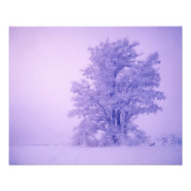 USA, Washington, Spokane County, Frosted Photo Art