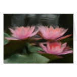 usa zen cards