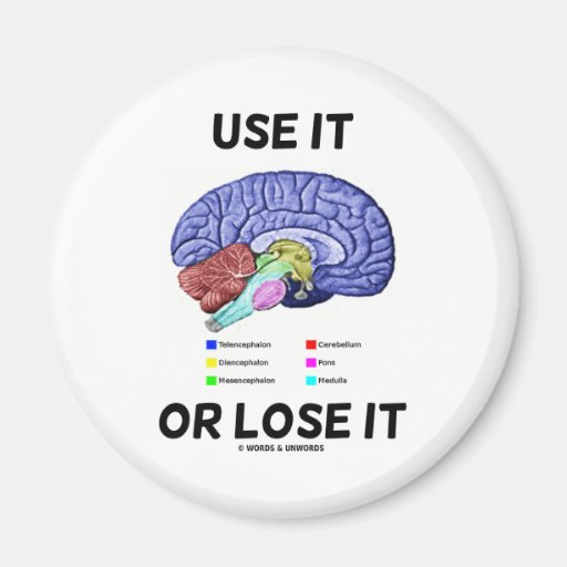 Use It Or Lose It (Brain Anatomy Humour Saying) Refrigerator Magnet