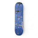 Used skateboards