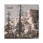Utah magnets
