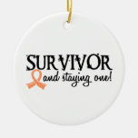 Uterine Cancer Survivor 18 Christmas Ornament