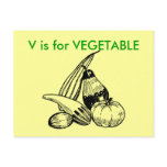 "V" is for Vegetable Alphabet Flashcard postcards