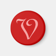 V REFRIGERATOR MAGNET
