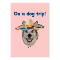 Vacation Dog Trip