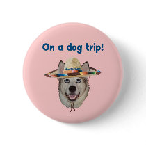 Vacation Dog Trip
