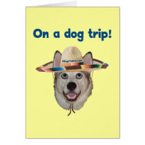 Vacation Dog Trip