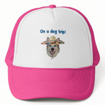 Vacation Dog Trip