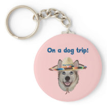 Vacation Dog Trip