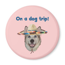 Vacation Dog Trip