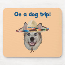 Vacation Dog Trip