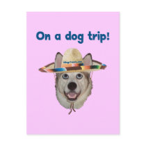 Vacation Dog Trip