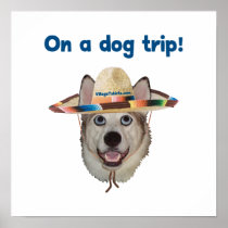 Vacation Dog Trip