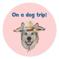 Vacation Dog Trip