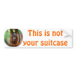 Vacation Suitcase Identification Tags Bumper Sticker