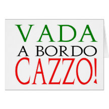 Vada a bordo Cazzo postcard