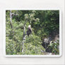 Valdez, Alaska Bald Eagle Mouse Pads
