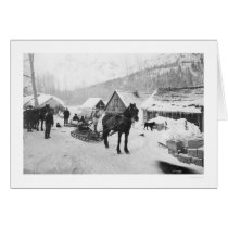 Valdez Trail Horses Alaska 1912 Greeting Card