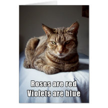 Valentine Cat funny poem Card