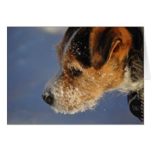 Valentine form the Dog Greeting Card