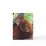 Valentine Hugs and Love Greeting Card