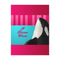 Valentine I love you orca whale Postcard
