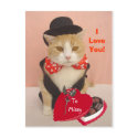 Valentine Kitty postcards