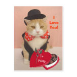 Valentine Kitty postcards