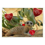 Valentine Meerkat Cards