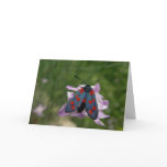 Valentine moth card