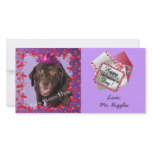 Valentine Photo Cards for your pets! photo cards