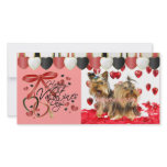Valentine Photo Cards for your pets! photo cards