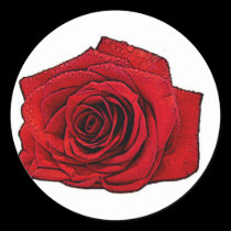 Valentine Rose Art stickers