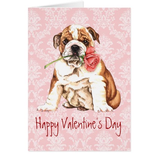 English Bulldog, Bulldog, Happy Valentine