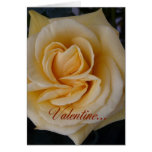 Valentine Rose-with poetry cards