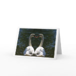 Valentine swans cards