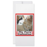 ValentineOrange Tabby Kitten rack cards